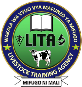 LITA Job Vacancies August 2026