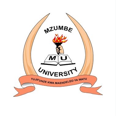 Mzumbe Selection 2026/2027 Academic Year