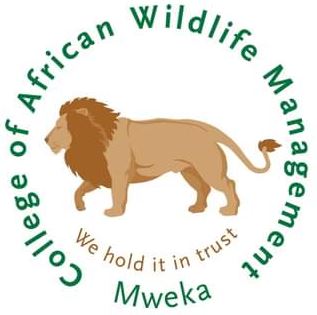 Job Vacancies at College of African Wildlife Management (CAWM) September 2026